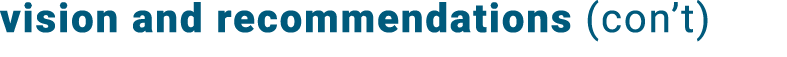 vision and recommendations (con t)