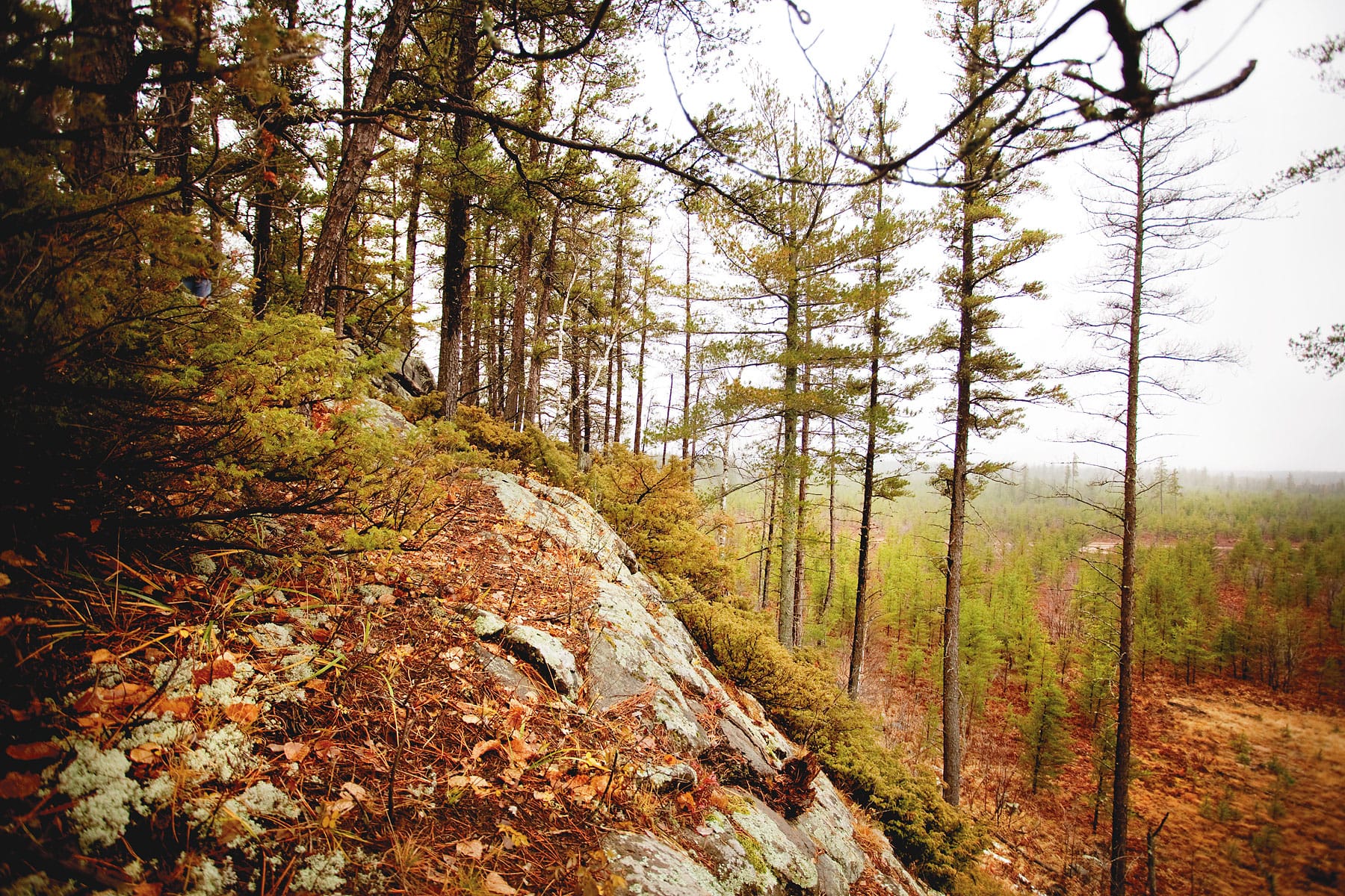 Assessment of Air Quality in Rocky hilly forest