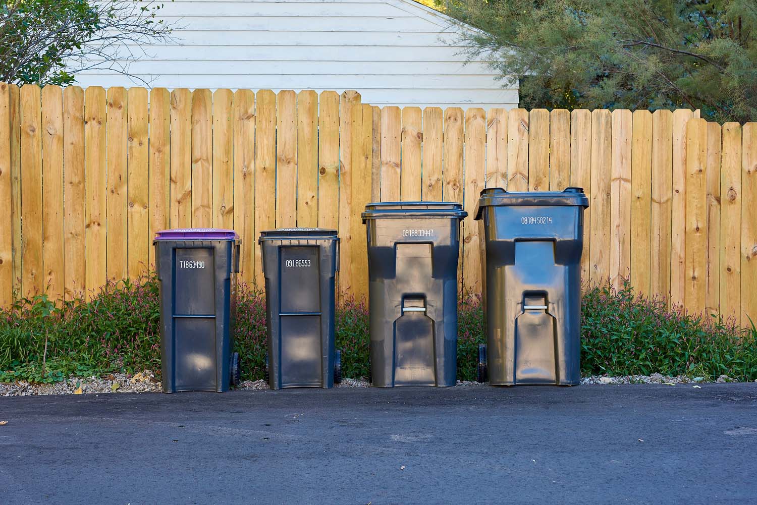 garbage and recycling collection container study