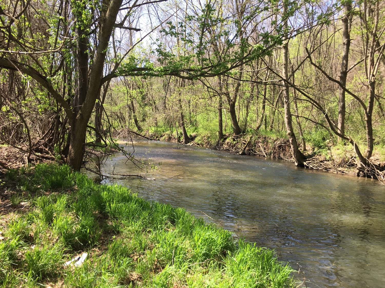 High Profile Superfund Site Investigation and Remediation