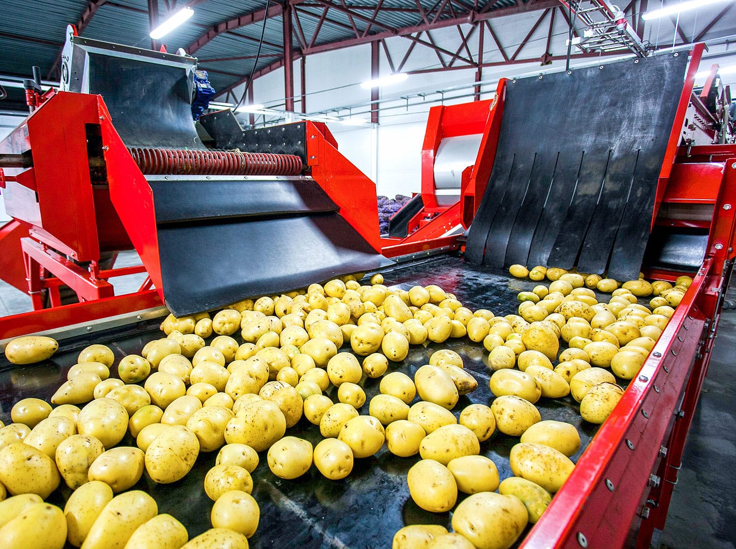 potato production facility - potato processing design and engineering