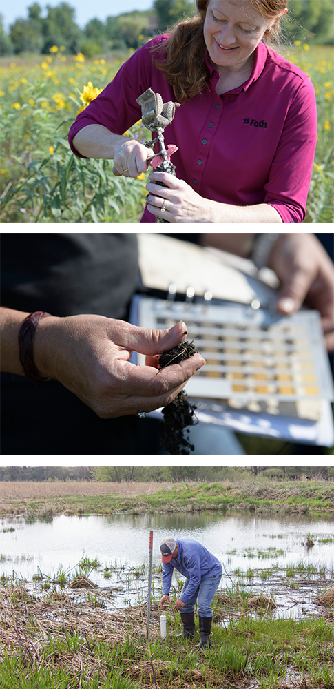 Wetland and Mitigation