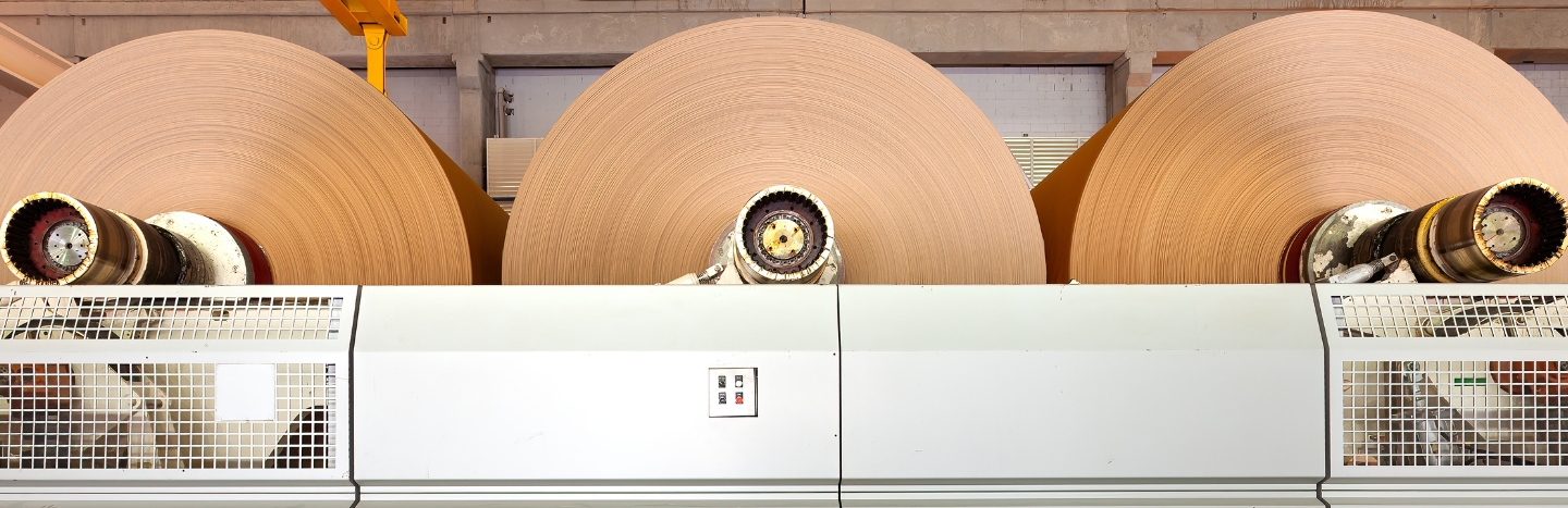 Paper rolls