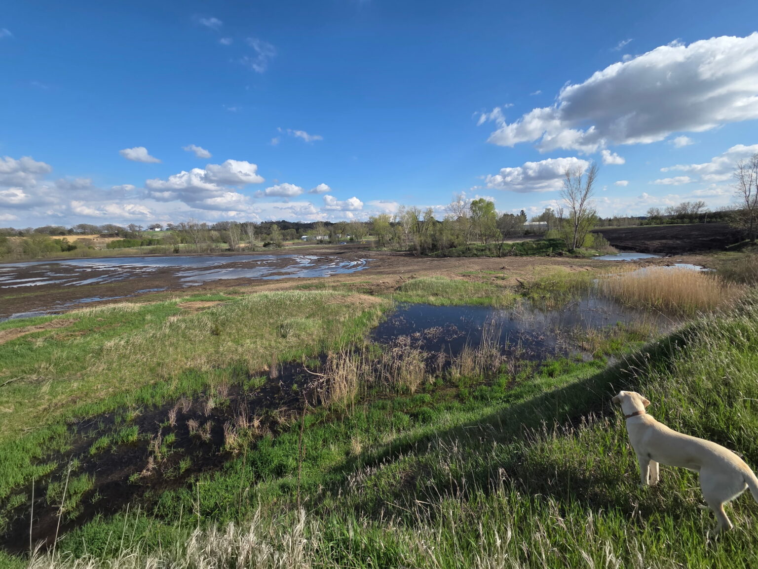 Raccoon River Mitigation Bank - FOTH