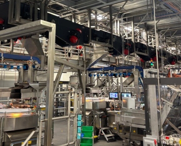 Automated Snack Packaging Line Expansion