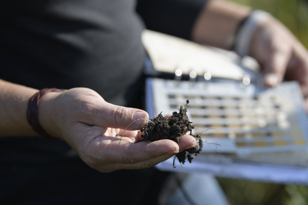 Foth member categorizes soil at wetland site